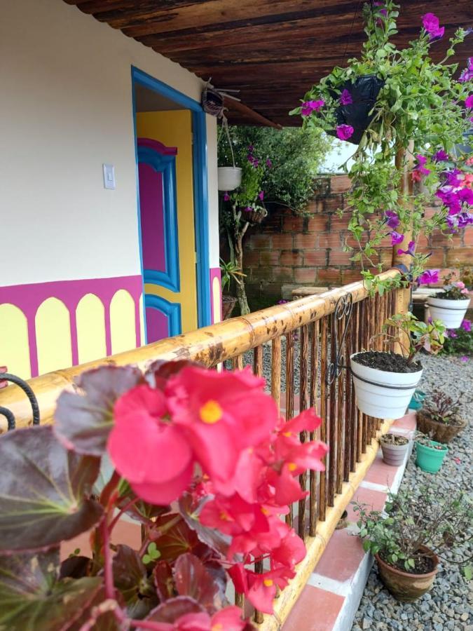 菲兰迪亚 Hostal Casa Madrigal酒店 外观 照片